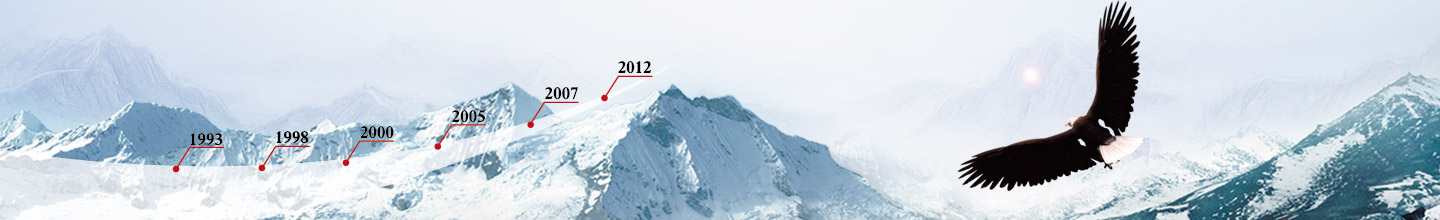 Meluck development process.